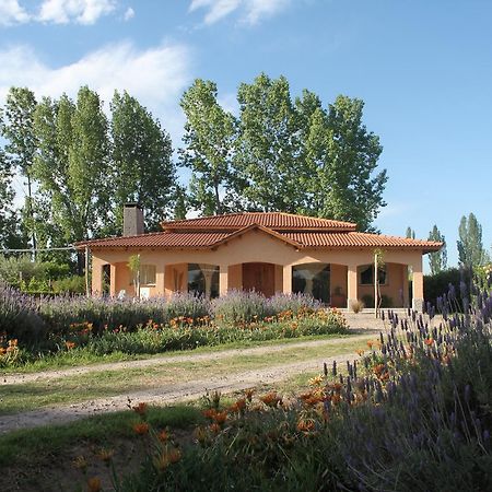 הוילה Lujan de Cuyo Casona Aventurados מראה חיצוני תמונה